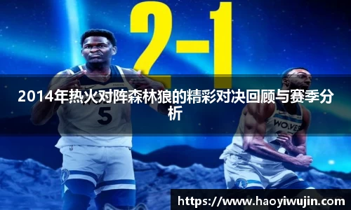2014年热火对阵森林狼的精彩对决回顾与赛季分析